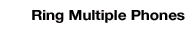 Ring Multiple Phones